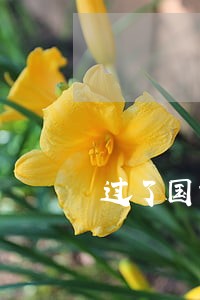 过了国家司法考试有那些用 过了国家司法考试有那些用