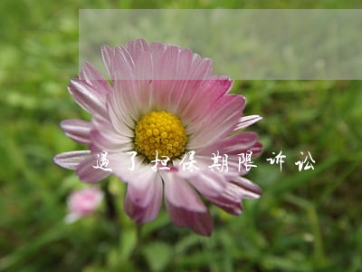 过了担保期限诉讼 过了担保期限诉讼
