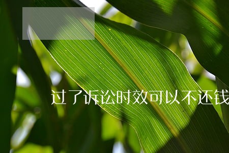 过了诉讼时效可以不还钱吗 过了诉讼时效可以不还钱吗