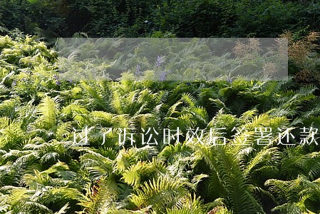 过了诉讼时效后签署还款承诺