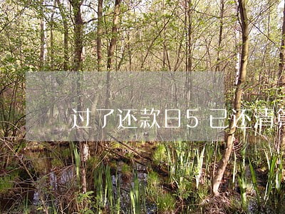过了还款日5已还清算逾期吗 过了还款日5已还清算逾期吗