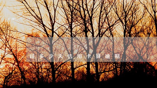 过多少天信用卡算逾期