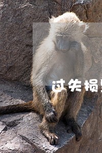 过失损毁文物罪律师推荐