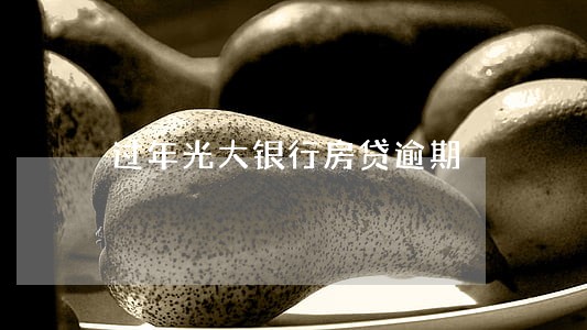 过年光大银行房贷逾期