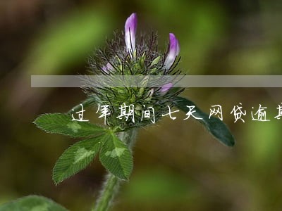 过年期间七天网贷逾期 过年期间七天网贷逾期
