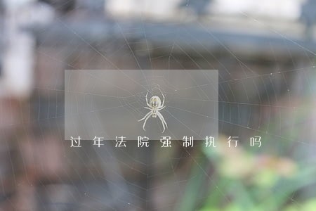 过年法院强制执行吗 过年法院强制执行吗