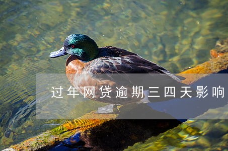 过年网贷逾期三四天影响大吗 过年网贷逾期三四天影响大吗