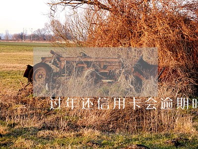 过年还信用卡会逾期吗 过年还信用卡会逾期吗