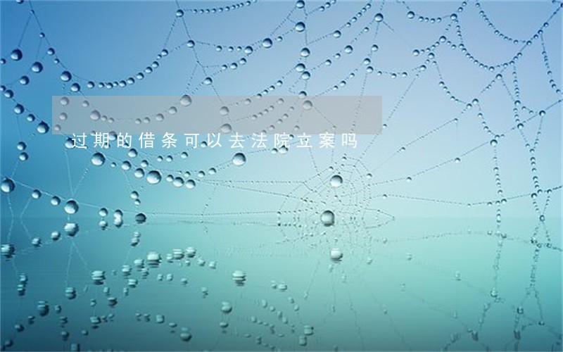 过期的借条可以去法院立案吗 过期的借条可以去法院立案吗