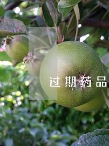 过期药品违法所得的认定