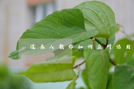 过来人教你如何应对信用卡逾期 过来人教你如何应对信用卡逾期