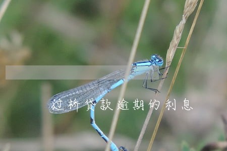 过桥贷款逾期的利息 过桥贷款逾期的利息