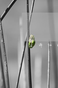 过诉讼时效欠条法院立案 过诉讼时效欠条法院立案