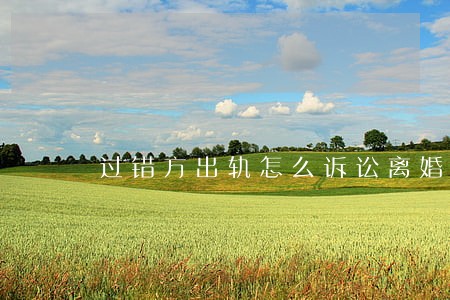 过错方出轨怎么诉讼离婚 过错方出轨怎么诉讼离婚