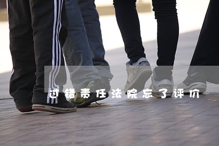 过错责任法院忘了评价 过错责任法院忘了评价