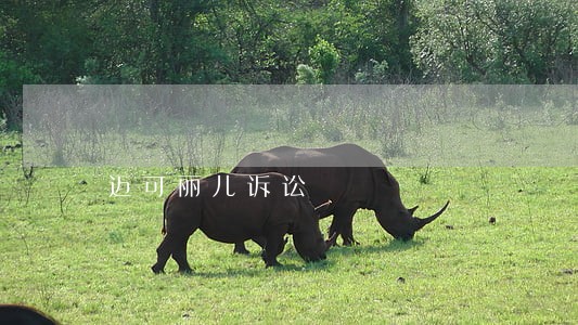 迈可丽儿诉讼 迈可丽儿诉讼