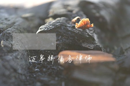 迈皋桥债务律师 迈皋桥债务律师