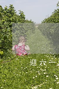 迎六一法院举行公众开放日活动 迎六一法院举行公众开放日活动