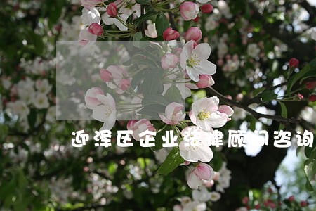 迎泽区企业法律顾问咨询