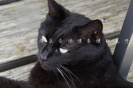 迎泽区会计债务债权案件律师