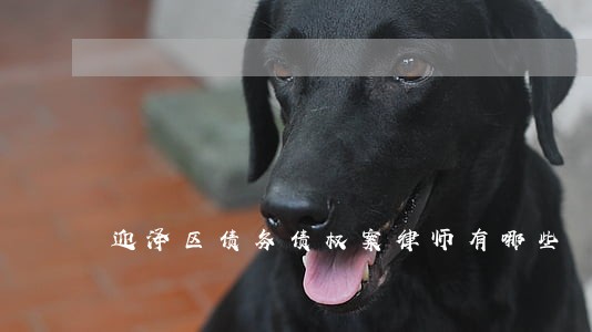 迎泽区债务债权案律师有哪些 迎泽区债务债权案律师有哪些