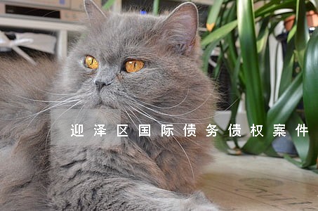 迎泽区国际债务债权案件律师 迎泽区国际债务债权案件律师