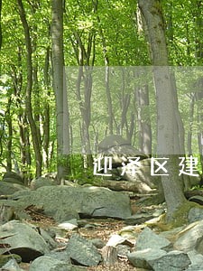 迎泽区建筑与房地产律师 迎泽区建筑与房地产律师