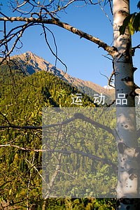 运动品牌鞋折扣店开了违法吗 运动品牌鞋折扣店开了违法吗