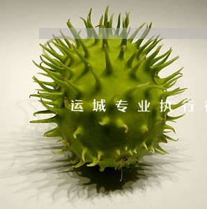 运城专业执行律师 运城专业执行律师