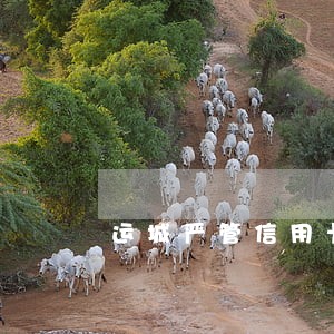 运城严管信用卡逾期 运城严管信用卡逾期