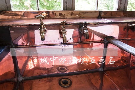 运城中院法院王玉名