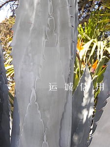 运城信用卡逾期停息分期怎么协商 运城信用卡逾期停息分期怎么协商