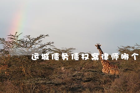运城债务债权案律师哪个好 运城债务债权案律师哪个好