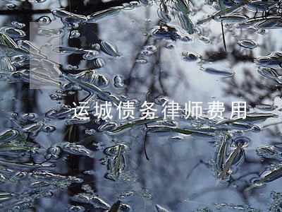 运城债务律师费用 运城债务律师费用