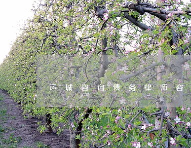运城咨询债务律师咨询费多少 运城咨询债务律师咨询费多少