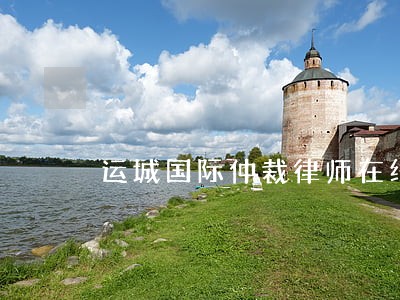 运城国际仲裁律师在线咨询 运城国际仲裁律师在线咨询