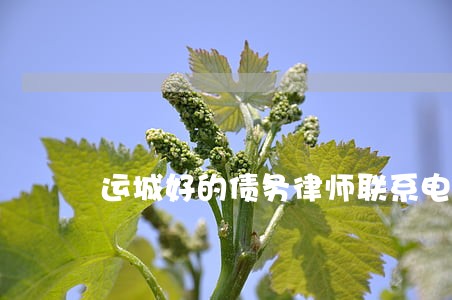 运城好的债务律师联系电话 运城好的债务律师联系电话