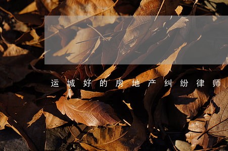 运城好的房地产纠纷律师