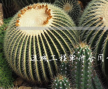 运城工程单价合同纠纷律师 运城工程单价合同纠纷律师