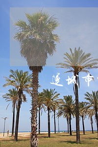 运城市中级人法院立案时间 运城市中级人法院立案时间