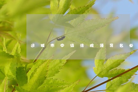 运城市中级法院领导名单 运城市中级法院领导名单