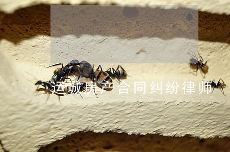 运城房产合同纠纷律师 运城房产合同纠纷律师