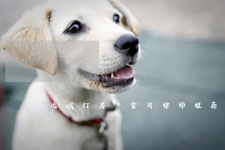 运城打房产官司律师推荐 运城打房产官司律师推荐