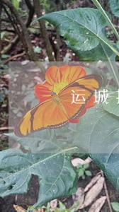 运城找离婚案律师多少钱 运城找离婚案律师多少钱