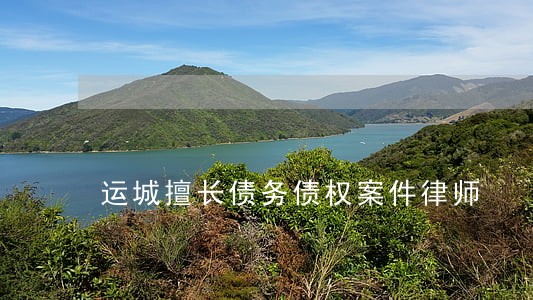 运城擅长债务债权案件律师 运城擅长债务债权案件律师