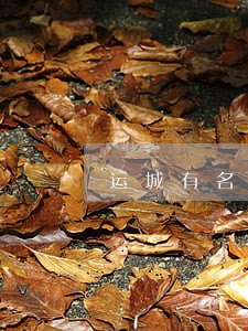 运城有名债务律师 运城有名债务律师