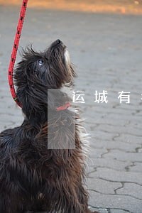 运城有名婚姻案律师 运城有名婚姻案律师