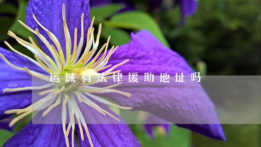 运城有法律援助地址吗 运城有法律援助地址吗