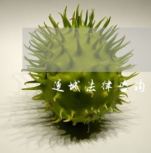 运城法律咨询 运城法律咨询