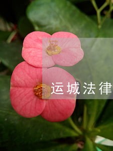 运城法律咨询电话是多少 运城法律咨询电话是多少